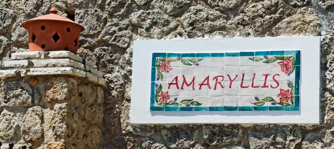 Villa Amaryllis Paleokastritsa Bagian luar foto